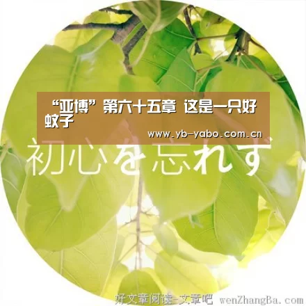 “亚博”第六十五章 这是一只好蚊子