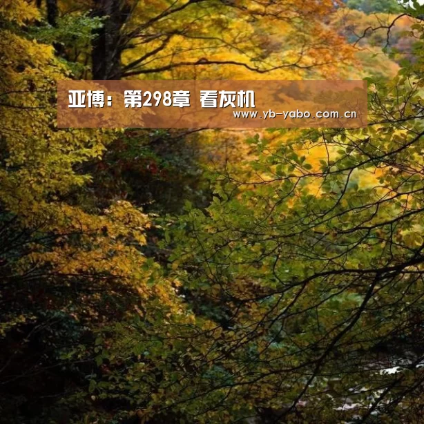 亚博：第298章 看灰机