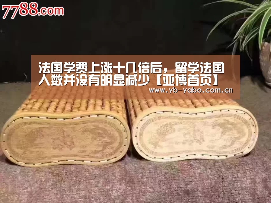 法国学费上涨十几倍后,留学法国人数并没有明显减少【亚博首页】(图2) 亚博娱乐