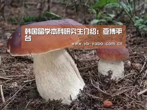 韩国留学本科研究生介绍：亚博平台